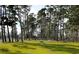 Large grassy park with benches and trees at 540 Redwood Ave. # 540, Myrtle Beach, SC 29577