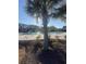 Relaxing community pool with palm trees and ample space for recreation at 736 Salerno Circle # D, Myrtle Beach, SC 29579