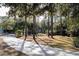 Landscaped front yard with a long driveway, mature trees, and a spacious lawn at 272 Old Ashley Loop, Pawleys Island, SC 29585