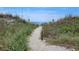 Sandy path leading to the beach, framed by dune grasses and beach umbrellas at 4719 S Ocean Blvd. # 609, North Myrtle Beach, SC 29582