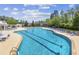 Community pool with plenty of lounge chairs and umbrellas at 301 Climbing Vine Ct., Conway, SC 29526