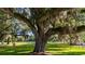 A large oak tree with Spanish moss hanging from its branches, in a park-like setting at 92 Patriot Ct., Georgetown, SC 29440