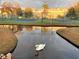 Two tennis courts nestled beside a tranquil pond with swans at 5905 S Kings Hwy. # B130, Myrtle Beach, SC 29575