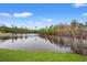 Picturesque view of a tranquil pond surrounded by lush greenery and a clear blue sky at 817 Payne Ct., Conway, SC 29526