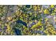 Aerial view of property showing adjacent pond, trees, and nearby community at 239 Madison Dr., Georgetown, SC 29440