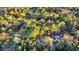 Aerial view of property showing lot lines, trees, and a beautiful home at 239 Madison Dr., Georgetown, SC 29440