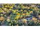 Aerial view of property showing lot lines, trees, and a beautiful home at 239 Madison Dr., Georgetown, SC 29440
