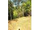 A natural pond surrounded by lush green forest with sunlight streaming through the trees at 239 Madison Dr., Georgetown, SC 29440