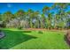 Expansive backyard featuring green grass and mature trees, creating a private outdoor haven at 4382 Saint Annes Ct., Myrtle Beach, SC 29579