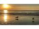 Stunning ocean view at sunrise with two seagulls at 1207 S Ocean Blvd. # 20207, Myrtle Beach, SC 29577
