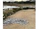 View of marsh grasses and calm water at 121 Marshland Ct., Myrtle Beach, SC 29572