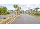 Street view of the community with palm trees and well-manicured landscaping at 242 Sun Colony Blvd. # 303, Longs, SC 29568