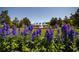 Community clubhouse with fountain and landscaping at 562 Blue Stem Dr. # 54D, Pawleys Island, SC 29585