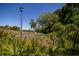 Landscaped road with lush greenery at 562 Blue Stem Dr. # 54D, Pawleys Island, SC 29585