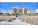 Multi-story hotel with beachfront location and palm trees at 1200 N Ocean Blvd. # 910, Myrtle Beach, SC 29577