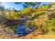 Peaceful waterfront view of a canal with mature trees and a home in the background at 35 Easter Lilly Ct., Murrells Inlet, SC 29576