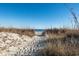 Sandy path leading to the beach through dunes at 3610 S Ocean Blvd. # 316, North Myrtle Beach, SC 29582