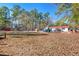 Large backyard with playground equipment for  at 45 Steve Carmichael Rd., Hemingway, SC 29554