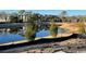 Aerial view of a pond and community with upscale homes at 1253 Lady Bird Way, North Myrtle Beach, SC 29582