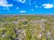 Wide aerial view of neighborhood and landscape at 19 Springfield Rd., Pawleys Island, SC 29585