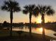 Scenic water view with palm trees at sunset at 58 Long Creek Dr., Murrells Inlet, SC 29576