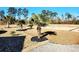 Landscaped yard with palm trees and gravel at 926 Eula Dr., Conway, SC 29526