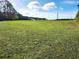 Expansive green yard with a few structures in the distance at 926 Eula Dr., Conway, SC 29526