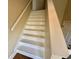 Bright staircase with white risers, stringers, and handrail at 4273 Santolina Way # E, Murrells Inlet, SC 29576