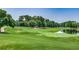 Lush green golf course with manicured grass and mature trees in a serene setting at 352 High Falls Dr., Conway, SC 29526