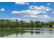 Serene pond view with lush green trees and a home in the background at 352 High Falls Dr., Conway, SC 29526