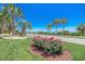 Landscaped roadside view with palm trees and ocean glimpses at 352 High Falls Dr., Conway, SC 29526