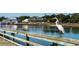 Great egret standing on a pier overlooking the water at 554 Haven View Way, Murrells Inlet, SC 29576