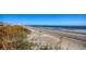 Expansive beach view with dune vegetation at 4208 N Ocean Blvd., North Myrtle Beach, SC 29582