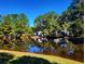 Waterfront view of homes and lush trees reflecting in calm water at 49 Daniel Morrall Ln., Georgetown, SC 29440