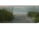 Sandy path to the beach through tall grass at 719 Isle Verde Dr, Myrtle Beach, SC 29579