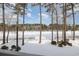 Snow-covered backyard with tall pine trees and a wooden fence at 112 Cypress Point Ct. # 202, Myrtle Beach, SC 29579