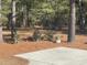 Landscaped backyard with mature trees and a small garden at 430 Long Lake Circle, Conway, SC 29527