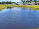 Peaceful community pond with ducks and lush landscaping at 431 Lifestyle Court, Surfside Beach, SC 29575