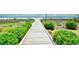 Boardwalk path to the beach with lush greenery at 5511 N Ocean Blvd. # 309, Myrtle Beach, SC 29577