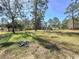 Large backyard with trees and open space at 11253 Old Pee Dee Rd., Hemingway, SC 29554