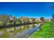 Scenic waterfront homes featuring lush greenery, with canal views that enhance curb appeal and outdoor living at 1579 Southwood Dr., Surfside Beach, SC 29575