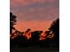 Beautiful sunset view over treetops at 314 Tall Pines Way # 6-34, Pawleys Island, SC 29585