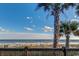 Ocean view from behind wooden fence and palm trees at 7500 N Ocean Blvd. # 6145, Myrtle Beach, SC 29572