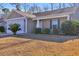 Inviting front yard with a small palm tree and shrubbery, enhancing the curb appeal of the home at 1240 Pineridge St., Conway, SC 29527