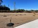Large open home lot with recently planted trees and new sidewalk and curb at 1519 Wood Stork Dr., Conway, SC 29526