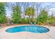 Sparkling pool with lush landscaping, outdoor seating, and a relaxing atmosphere at 113 Preservation Dr., Myrtle Beach, SC 29572