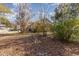 Large backyard with mature trees and brown leaves scattered on the ground at 804 Geddings Dr., Myrtle Beach, SC 29588