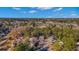 Aerial view showcasing the homes nestled among mature trees at 207 Townes Ct., Myrtle Beach, SC 29588