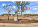 Entrance sign reading 'The Reserve At Long Bay' with an American flag waving at 589 Talisman Trail, Longs, SC 29568