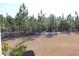 Large backyard with mature pine trees and grassy area at 3528 Bells Lake Circle # 3528, Longs, SC 29568
